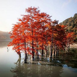 ���� �������, ������ - ��������� 24 �������� 2021