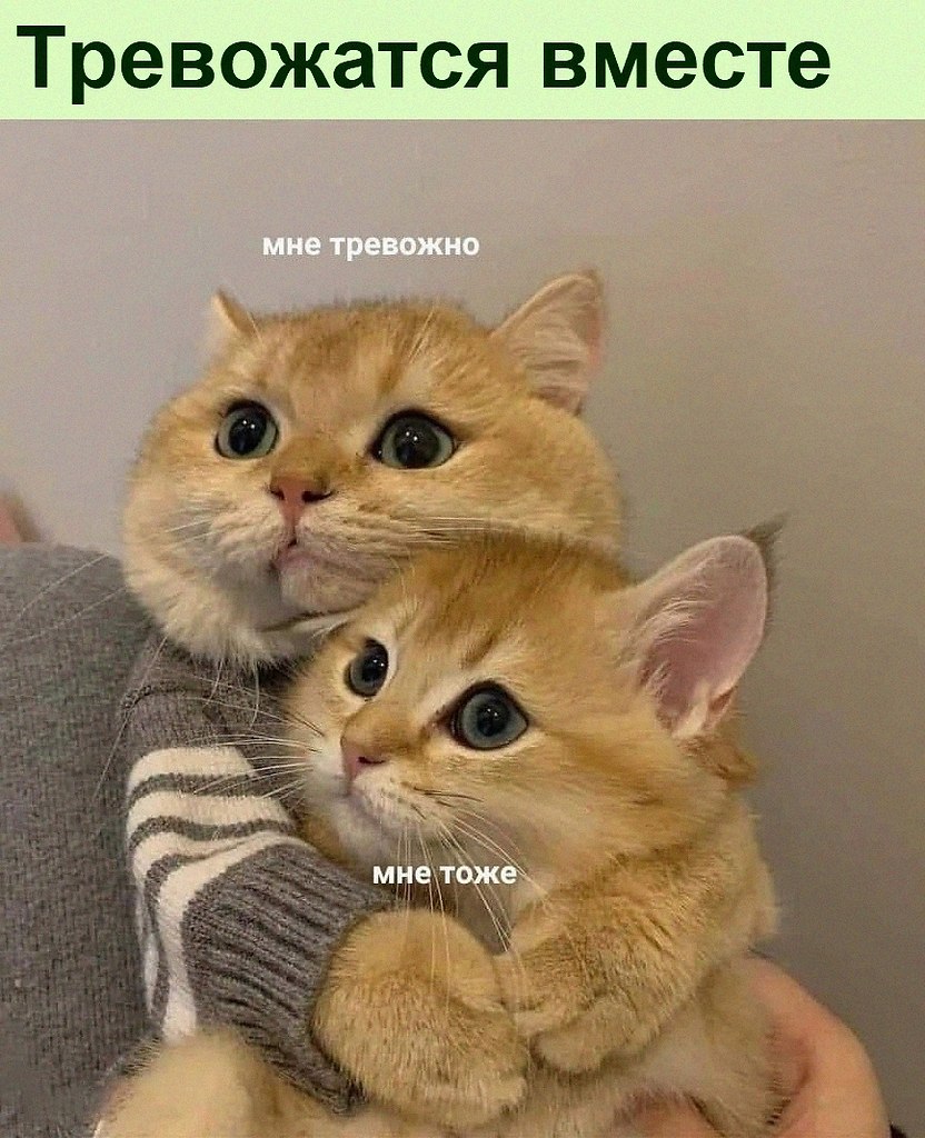 Убейся Позитивом :D - 11 декабря 2021 в 14:39