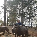 ���� ���������, ������������, 69 ��� - ��������� 28 �������� 2021 � ������ ���� ����������