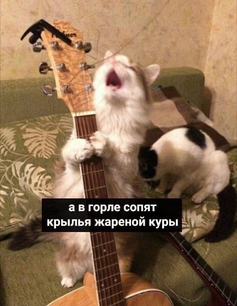   - - 5