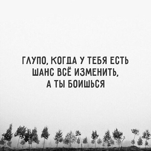  ,  .© - 13  2021  23:38