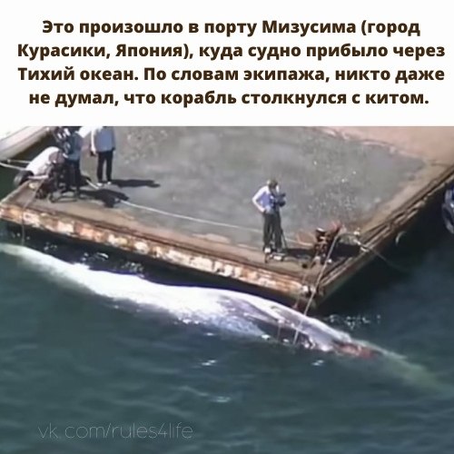 ����� ��������. - 2