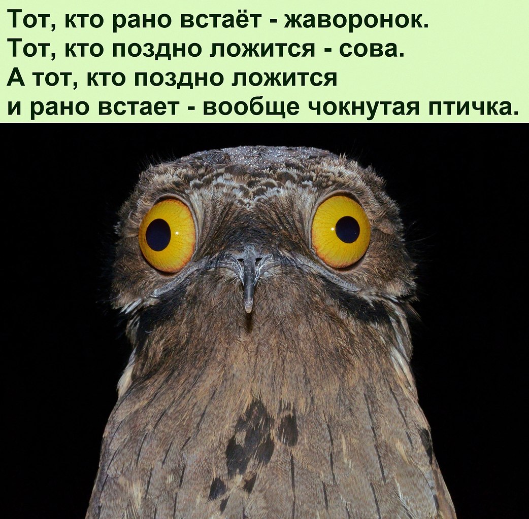   :D - 9  2022  08:17