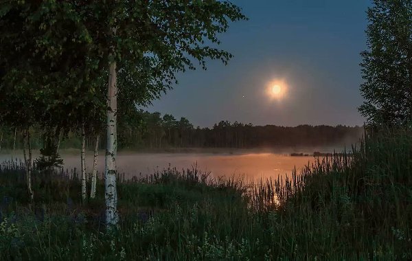 Я подарю тебе зарю.С хрустальной чистою росою,Скажу о том,как я люблюГлядеться в небо голубое.Люблю ...