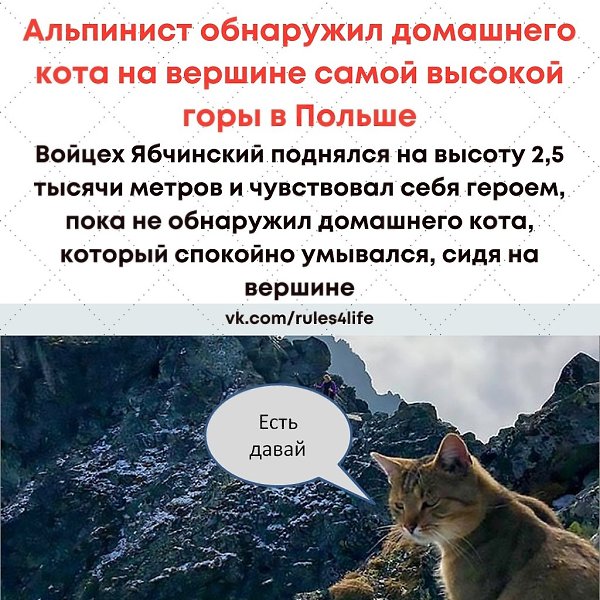 LIFE -  - 15  2021  12:23