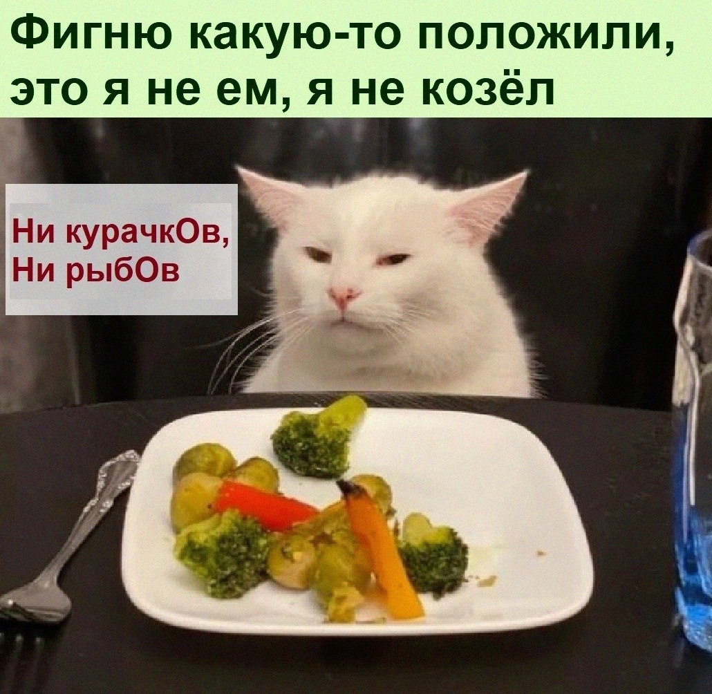   :D - 18  2022  18:23
