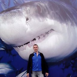 ���������, ���������, 43 ����