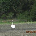 ���������&hellip; �� ������� ������