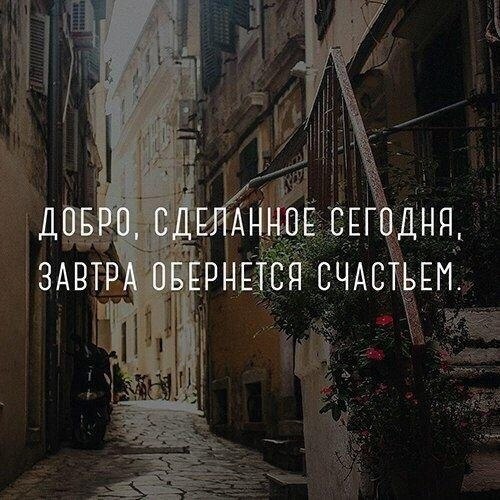    - 8  2021  12:46