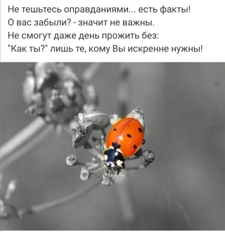 ***Victoria Viktorovna*** - 5  2021  02:39