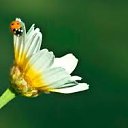 ���� Nastroenie, ������ - ��������� 24 ���� 2021 � ������ ���� ����������