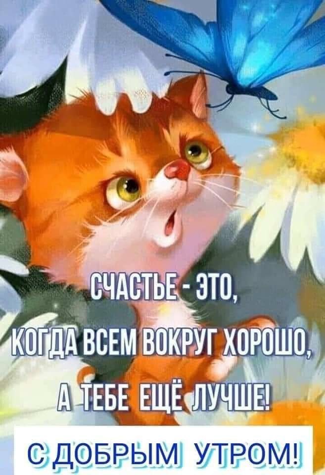   ,    . - 3  2021  18:44