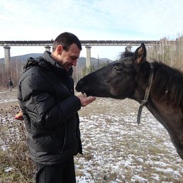 ��, ����������, 85 ���