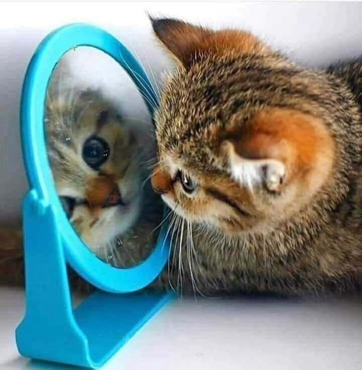  , ....
