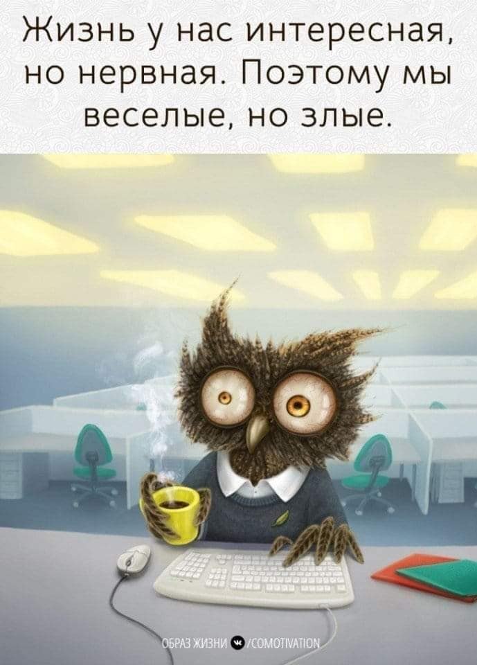 Sov - 22  2021  09:31