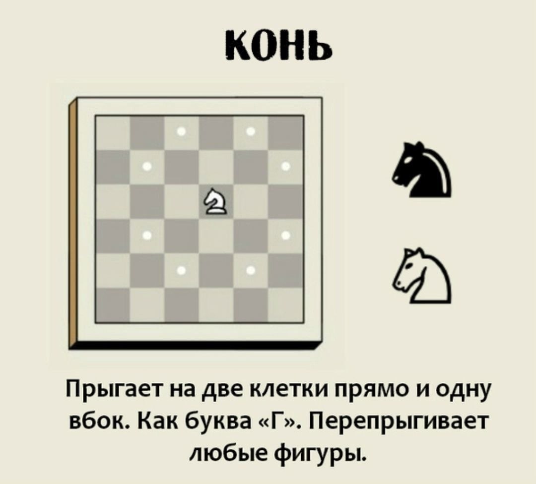 Как научиться играть в шахматы взрослому. Правила игры в шахматы для начинающих как ходят фигуры. Шахматы правила игры для новичков детей. Правила игры в шахматы для начинающих. Шахматы как ходят фигуры для начинающих.