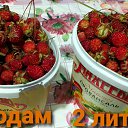 ���� ������, �����������, 53 ���� - ��������� 2 ������� 2021 � ������ ������ ��������