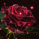 ���� ��������, ��������, 64 ���� - ��������� 28 ������� 2021 � ������ �������� ��������