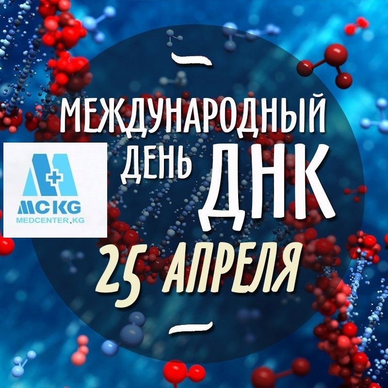   ,    . - 24  2021  22:41 - 4