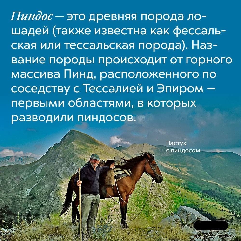 !!! ))