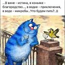 ���� ��������, ��������, 76 ��� - ��������� 12 ���� 2021 � ������ ������ ��������