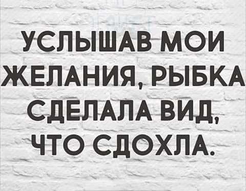 - 14  2021  17:15