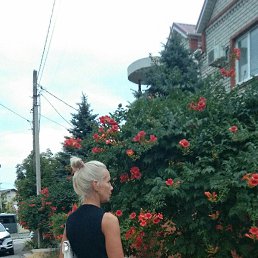 �����, �������