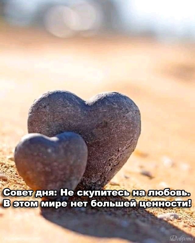   ,    . - 9  2021  22:44