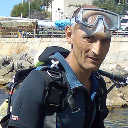 �, �����������, 61 ���