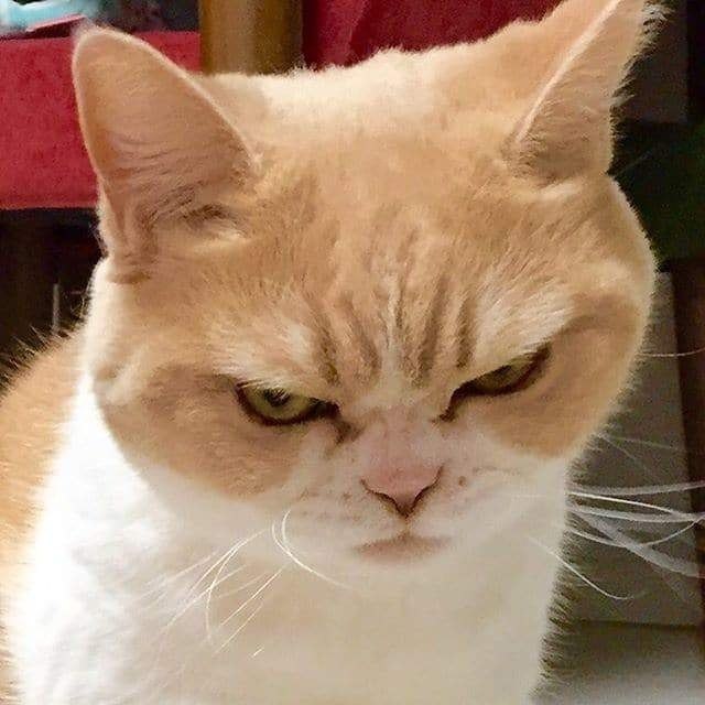    - 5