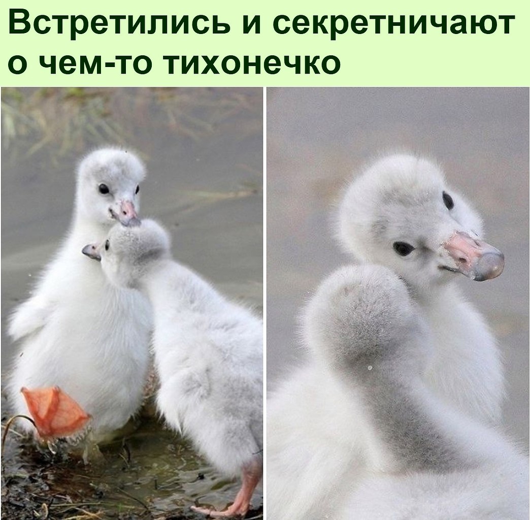   :D - 22  2021  16:25