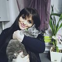 ���� ��������, ������ - ��������� 2 ������� 2021 � ������ ���� ����������