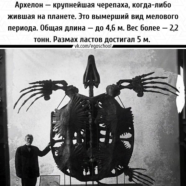 ,     )