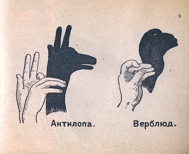  "". - 5