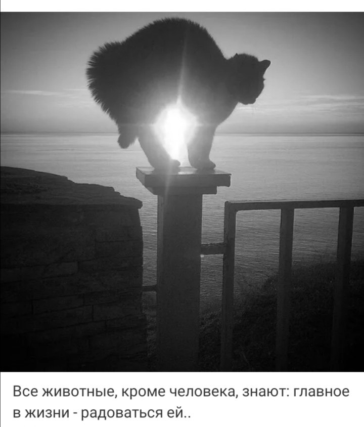 ***Victoria Viktorovna*** - 30  2021  07:54