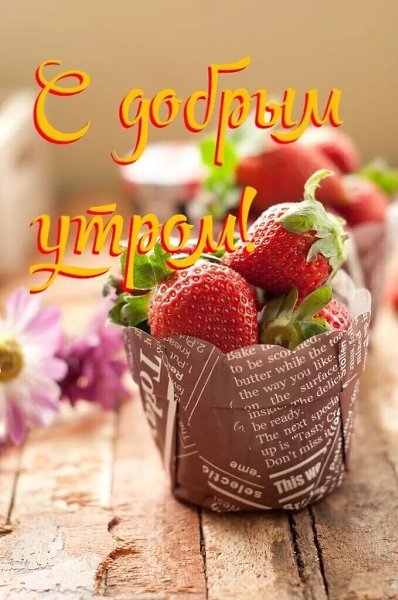 ***Victoria Viktorovna*** - 6  2021  04:13
