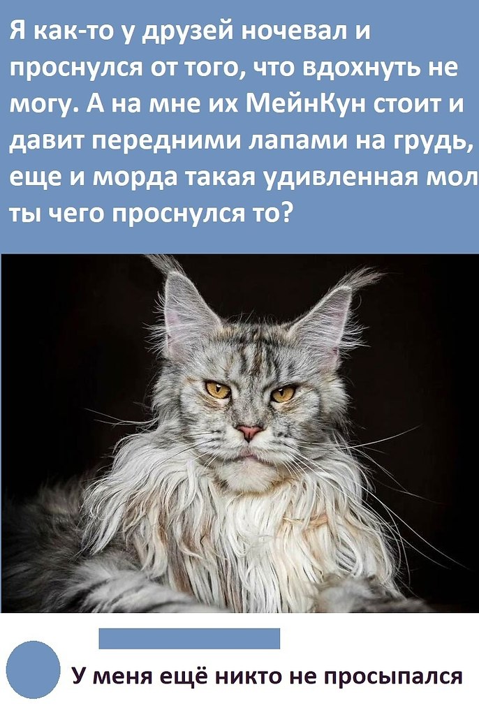    ,   .. )))