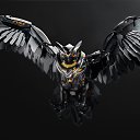 ���� Jojo, ���������, 34 ���� - ��������� 16 ��� 2021 � ������ ���� ����������