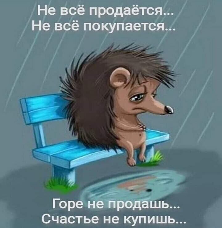  - 24  2021  21:07