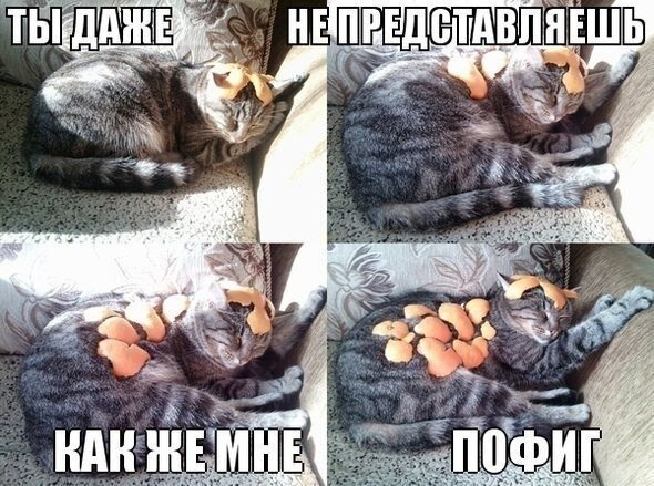    - 21  2021  23:17