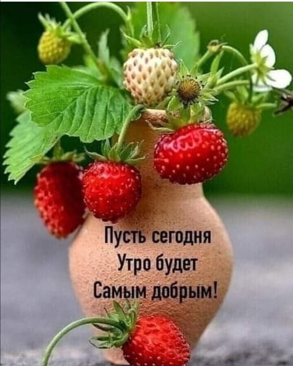 ***Victoria Viktorovna*** - 28  2021  05:37