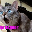 ���� �������, ������ - ��������� 26 ������� 2021 � ������ ���� ����������