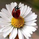 ���� Nastroenie, ������ - ��������� 24 ���� 2021 � ������ ���� ����������