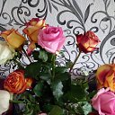 ���� ���������, ��������� - ��������� 10 ������� 2021 � ������ ���� ����������