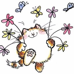 ������, ������, 48 ���