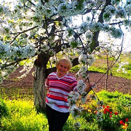 Ирина, 61, Вознесенск