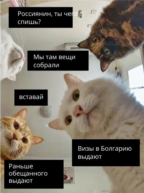         .  ,   ...