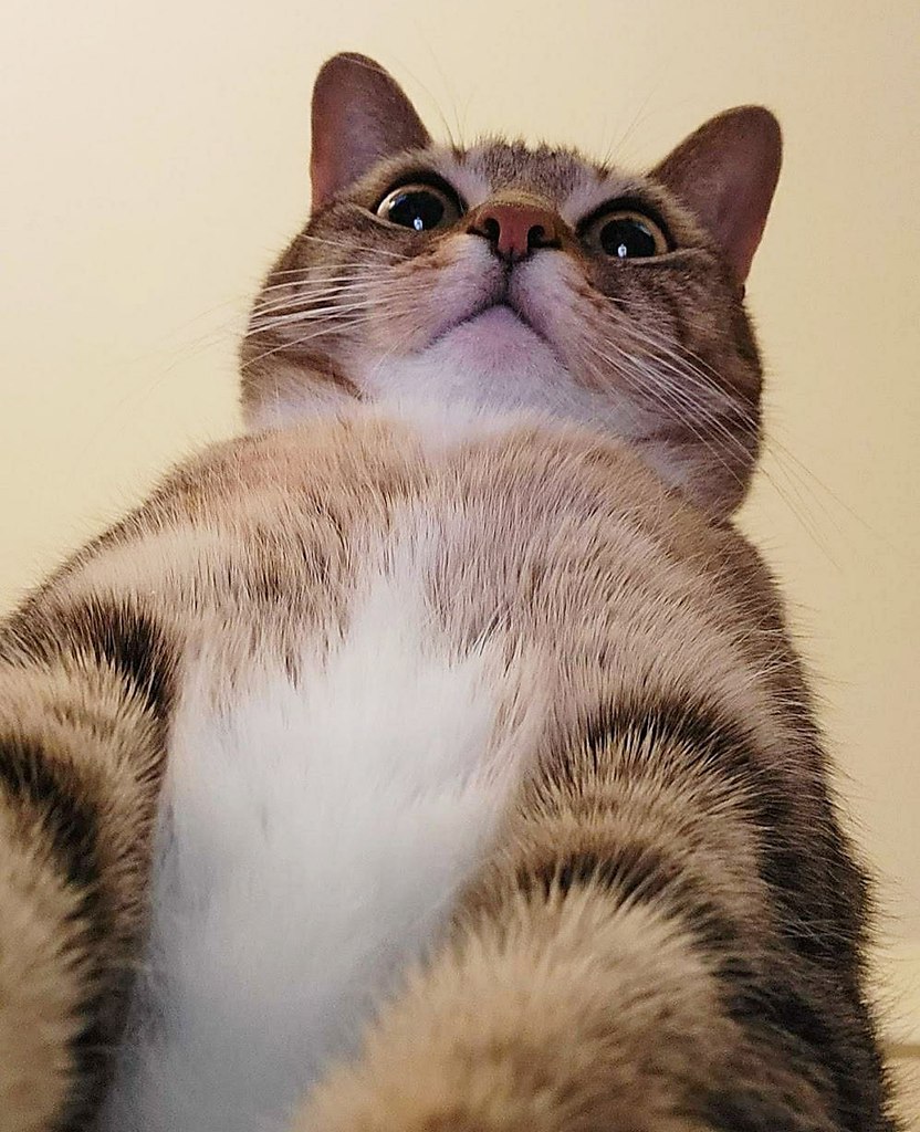    )