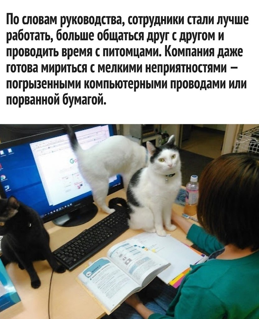       - 6  2021  18:49 - 3