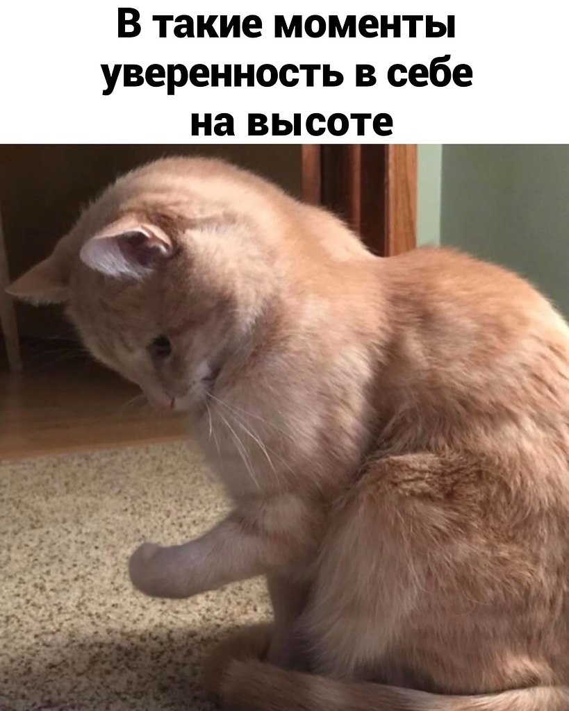 �� ��, ����������� ������ �������� ������� ����� ����������.������� - 2